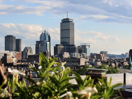 Cityscape with skyscrapers, flowering plants in the foreground, and a clear