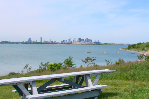 A picnic table sits on a grassy area near a body of water, with city buildings visible in the distance under a clear blue sky.