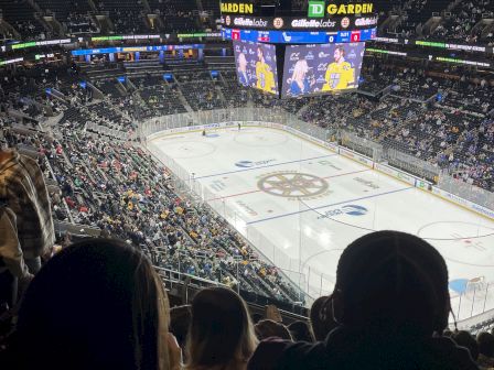 Spectators watching a hockey game in an arena.