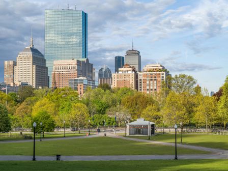 A park with green trees and grass in the foreground, city skyline in the background