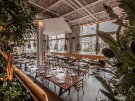 The image shows a modern restaurant interior with wooden tables, chairs, and large windows. Plants add a natural touch. Ends the sentence.