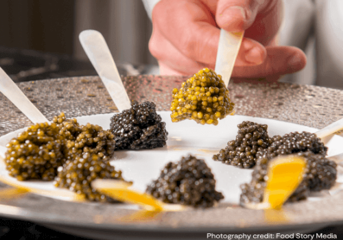 This image shows a hand holding a tasting spoon of caviar, surrounded by other caviar samples on a plate with spoons.