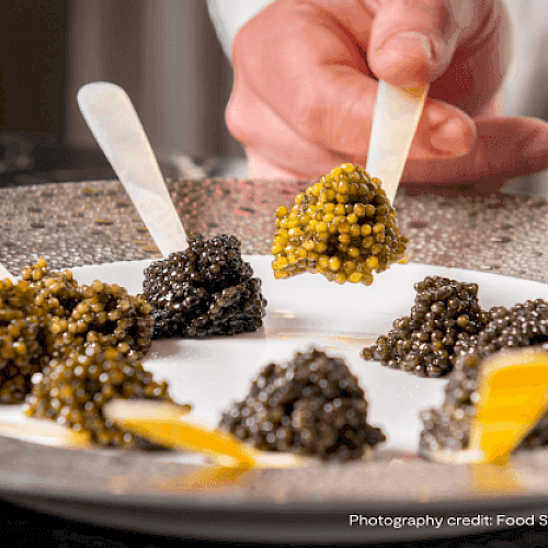 This image shows a hand holding a tasting spoon of caviar, surrounded by other caviar samples on a plate with spoons.