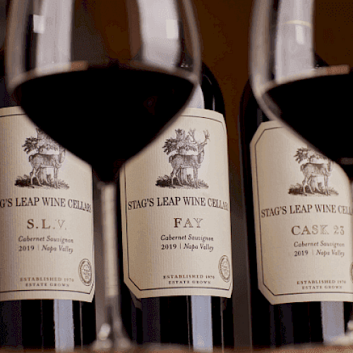 Three bottles of Stag's Leap Wine Cellars Cabernet Sauvignon and two glasses of red wine in front of the bottles.