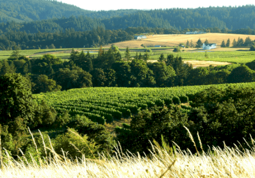 The image shows a scenic countryside landscape with rolling hills, dense green forests, cultivated fields, and distant houses under a clear sky.