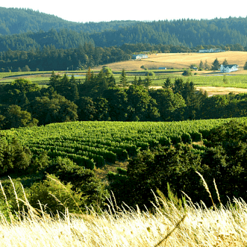 The image shows a scenic countryside landscape with rolling hills, dense green forests, cultivated fields, and distant houses under a clear sky.