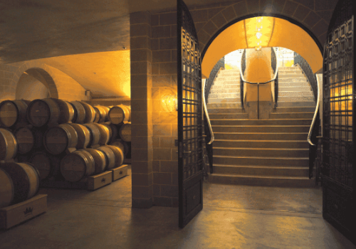 A dimly lit wine cellar with wooden barrels on the left and a set of stairs with handrails leading up to an arched entrance on the right.