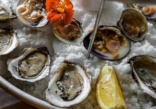 The image shows a seafood platter with oysters and clams on a bed of ice, garnished with a flower and a lemon wedge.