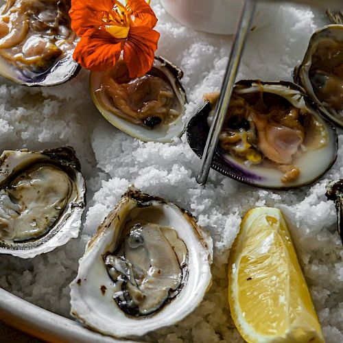 The image shows a seafood platter with oysters and clams on a bed of ice, garnished with a flower and a lemon wedge.