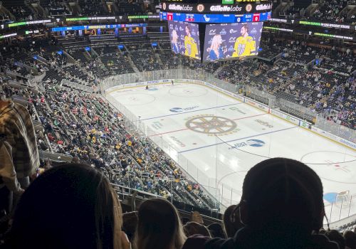 Crowd watch ice hockey at boston td garden