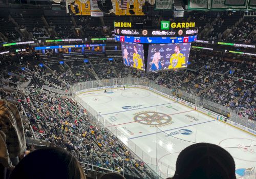 Crowd watching hockey at boston td garden