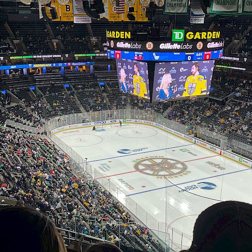 Crowd watching hockey game