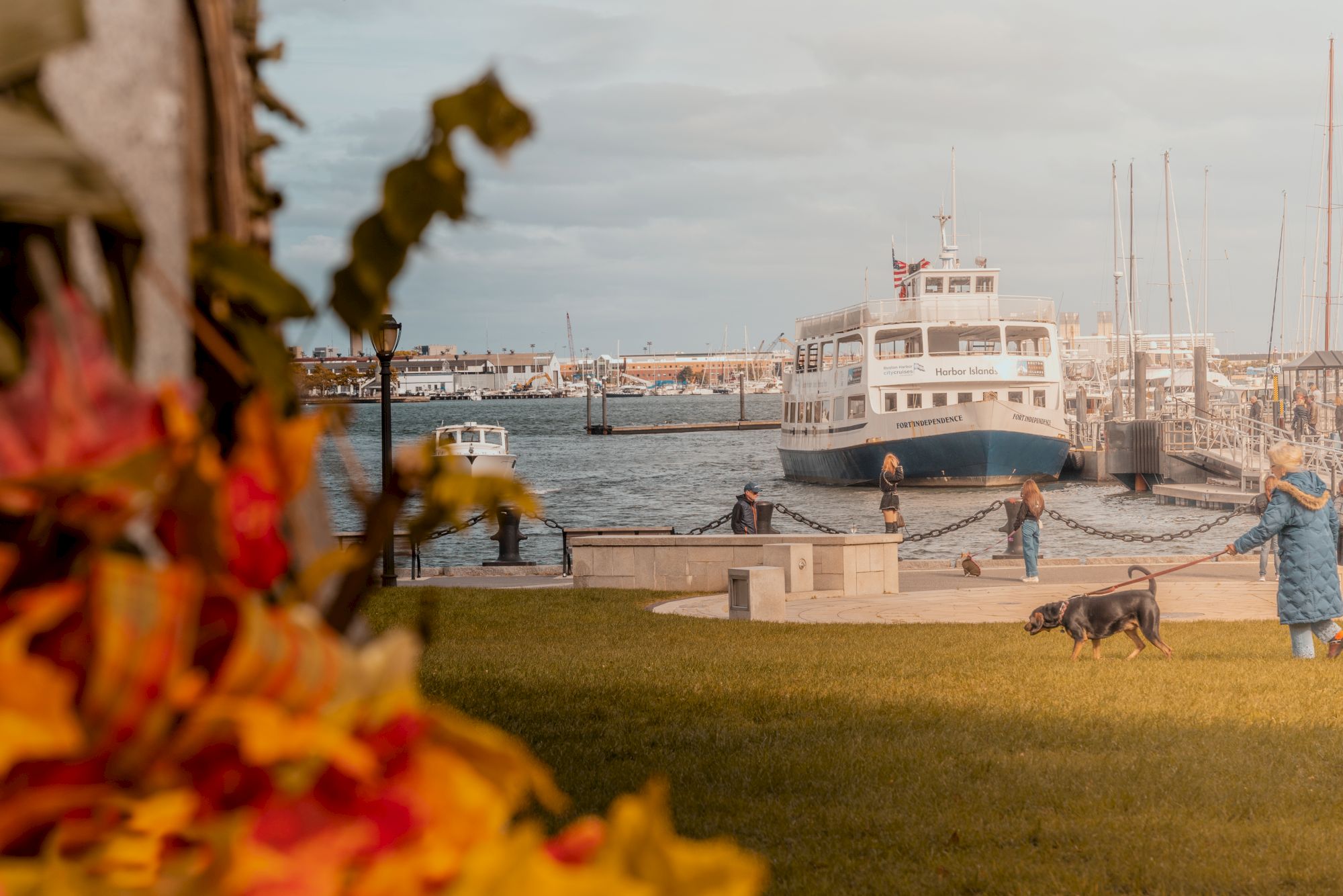 A ferry is docked at a harbor with people and a dog nearby, framed by autumn leaves in the foreground.