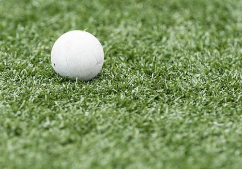 Lacrosse Ball sitting in Grass