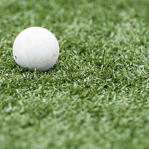 Lacrosse Ball sitting in Grass