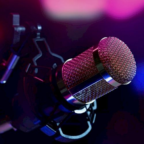 Broadcast/Podcast Microphone