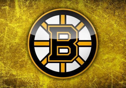 Bruins Logo