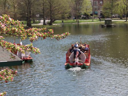 People are enjoying a boat ride on a peaceful lake surrounded by trees and blooming branches under a clear sky.