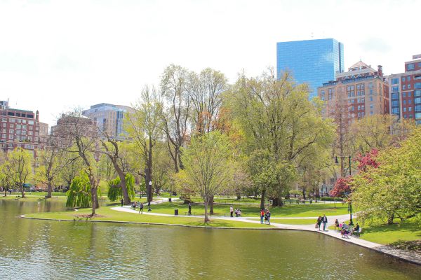 Boston Public Gardens