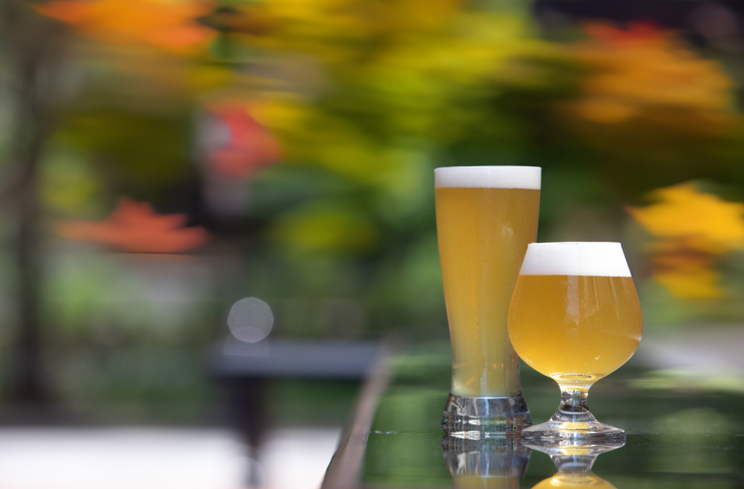 Two glasses of beer on a reflective surface with a blurred, colorful background.