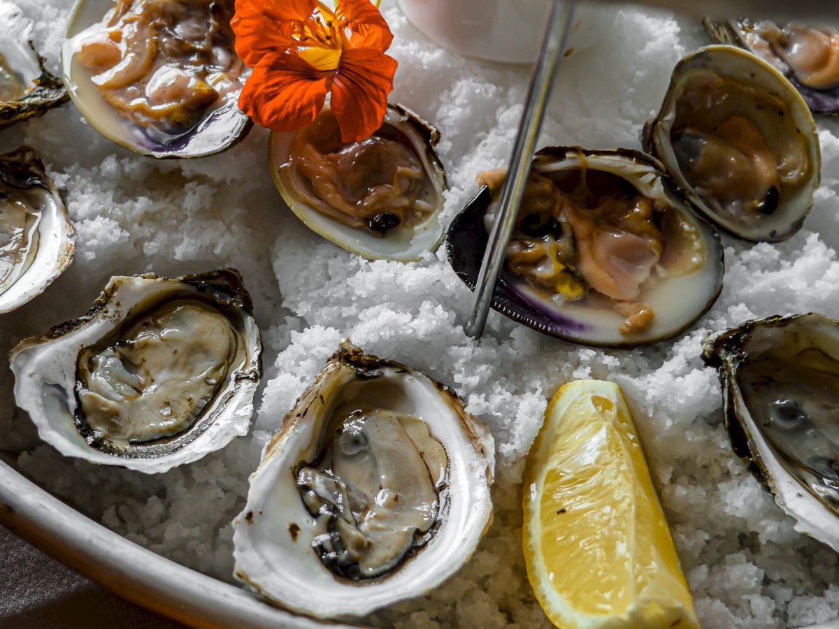 A seafood platter with oysters, lemon wedges, and a flower garnish on a bed of ice.