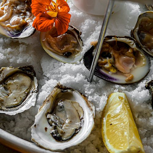 A platter of oysters and clams on ice, garnished with a lemon wedge and an orange flower, served with a metallic utensil.