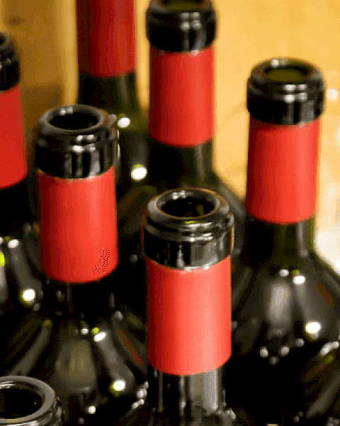 The image shows a collection of empty wine bottles with red caps standing upright, suggesting they have been recently used or opened.