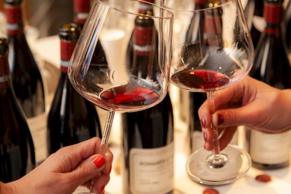 Two people clinking glasses of red wine, with several wine bottles in the background on a table.