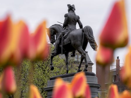 A statue of a person on a horse is seen surrounded by blurred red and yellow tulips in the foreground.